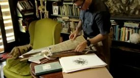 Mark Dion: "Herbarrium Perrine"