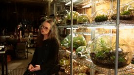 Behind the Scenes: Paula Hayes, Nocturne of the Limax maximus