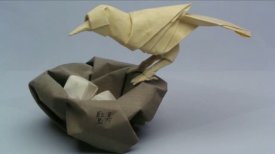 Squares-Folds-Life: Contemporary Origami by Robert J. Lang Trailer Squares-Folds-Life: Contemporary Origami by Robert J. Lang Trailer