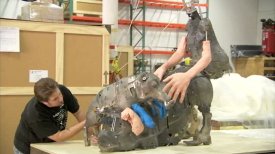 Paul McCarthy: Animatronic Designer Jon Dawe Paul McCarthy: Animatronic Designer Jon Dawe