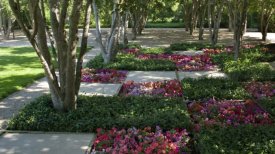 Introducing Miller House and Garden