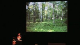 Dan Kiley's Modern Take on Classical Gardens, Laurie Olin Dan Kiley's Modern Take on Classical Gardens, Laurie Olin