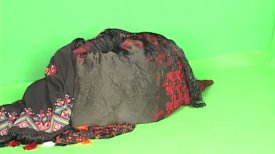 Ranu Mukherjee: Contemporary Nomads @ YBCA