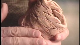 A Walk Through the Chinese Galleries (filmed in former museum location; prior to 2003) A Walk Through the Chinese Galleries (filmed in former museum location; prior to 2003)