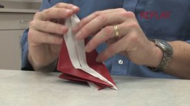 Robert Lang Teaches Origami: Swallow Robert Lang Teaches Origami: Swallow