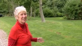 Mary Heilmann: Home & Studio