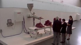 Timelapse of Roxy Paine's "Scumak No. 2"