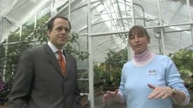 Director's Journal: The IMA Greenhouse Director's Journal: The IMA Greenhouse