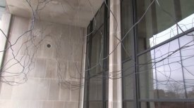 Director's Journal:  The Work of Maya Lin