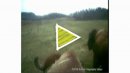 Sam Easterson, Video Artist