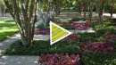 Introducing Miller House and Garden
