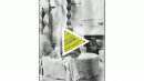 Get To Know Constantin Brancusi