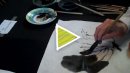 Brushpainting Demonstration with Artist Kong Pak-yu