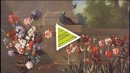 Director's Favorites: Monsieur de la Bruyer's Garden
