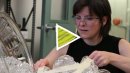 Artist-in-Residence: Beth Lipman - April 2011