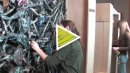 Cleaning Thornton Dial's Art