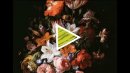 Women in Art: Flowers in a Glass Vase by Rachel Ruysch