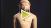 PEACEFUL LIBERATORS: Jain Art from India
