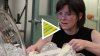 Artist-in-Residence: Beth Lipman - April 2011